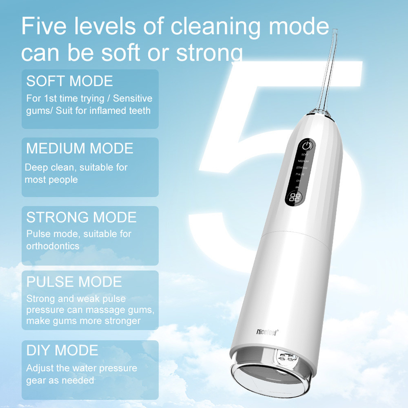 5+ l'eau de décapant orale électrique fonctionnante de dents d'Irrigator d'hygiène buccale du jet d'eau des modes Ipx7 300ml Pik dentaire Flosser